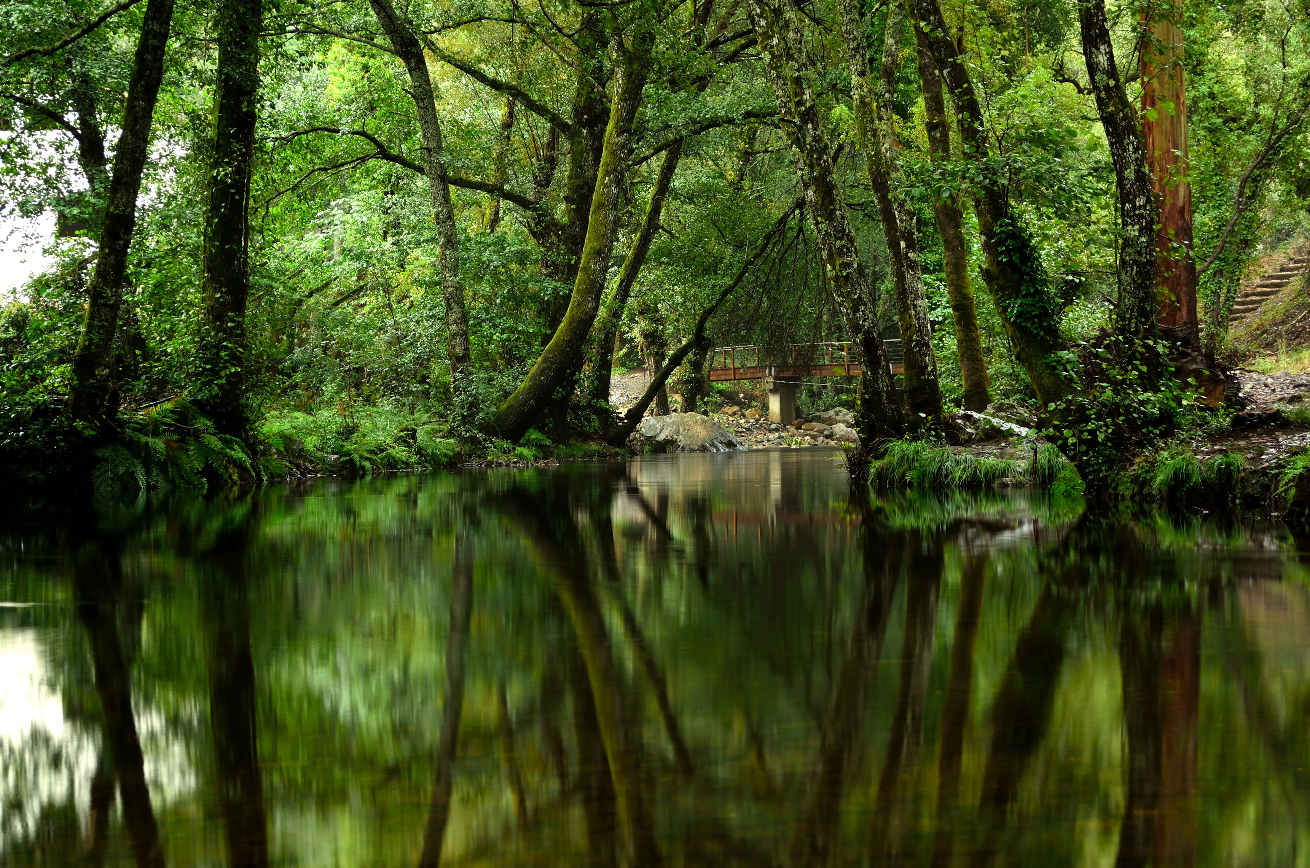 brevemente - Think Thank Nature +