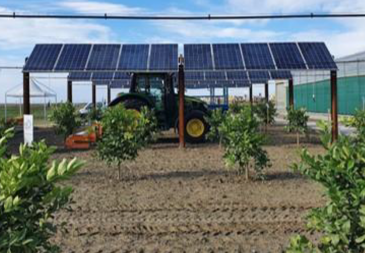 Workshop: Agrivoltaic opportunities for the agricultural sector