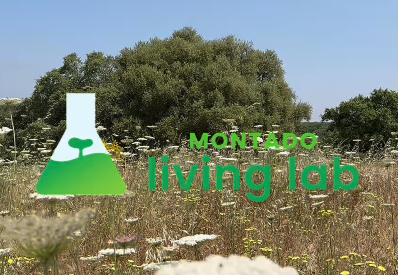 New video of the Montado Living Lab